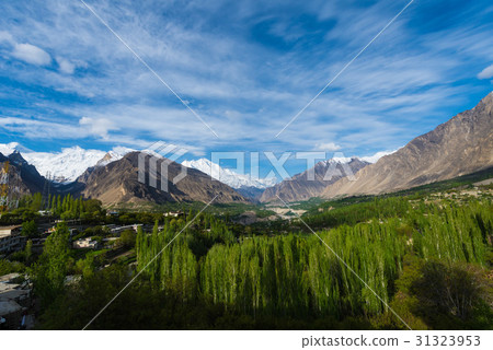 Hunza Kalimbaad 31323953
