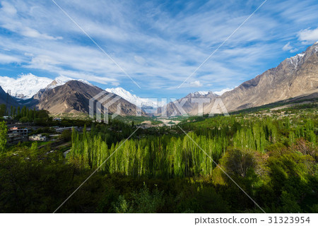 Hunza Kalimbaad 31323954