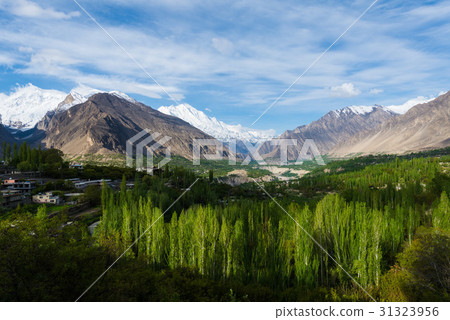 Hunza Kalimbaad 31323956