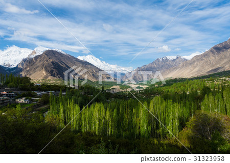 Hunza Kalimbaad 31323958