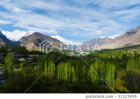Hunza Kalimbaad 31323959