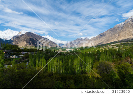 Hunza Kalimbaad 31323960