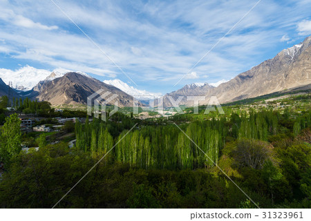 Hunza Kalimbaad 31323961