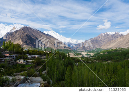 Hunza Kalimbaad 31323963