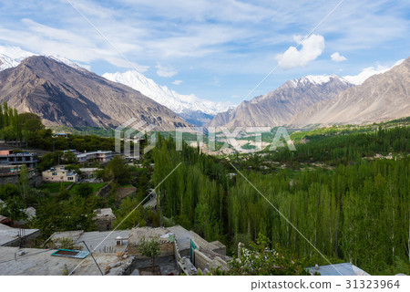 Hunza Kalimbaad 31323964