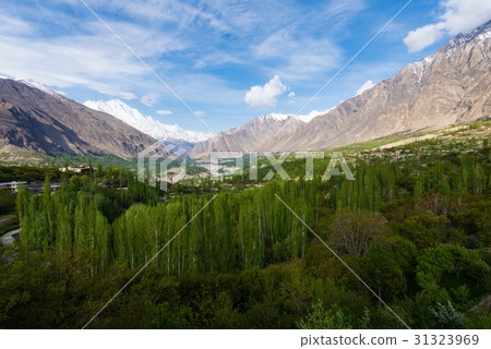 Hunza Kalimbaad 31323969