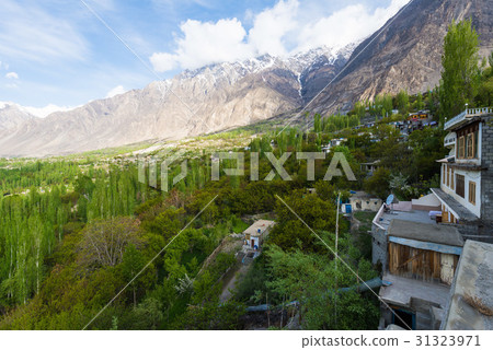 Hunza Kalimbaad 31323971