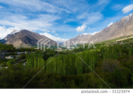 Hunza Kalimbaad 31323974