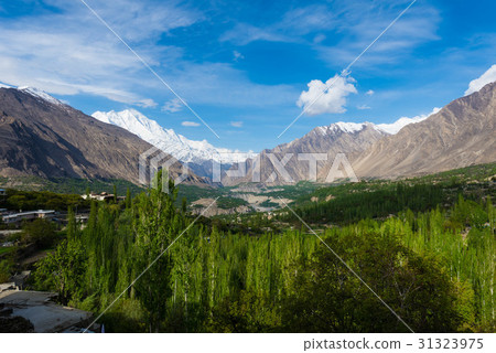 Hunza Kalimbaad 31323975