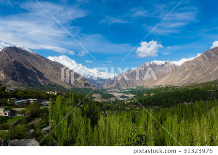 Hunza Kalimbaad 31323976