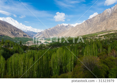 Hunza Kalimbaad 31323979