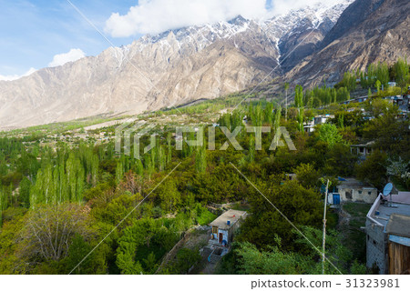 Hunza Kalimbaad 31323981
