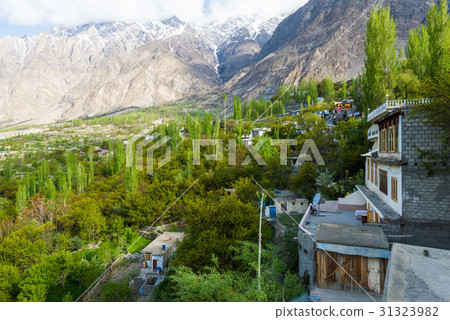 Hunza Kalimbaad 31323982
