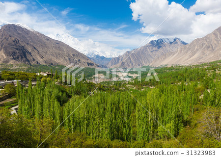 Hunza Kalimbaad 31323983