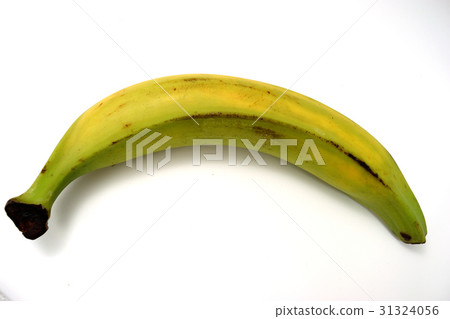 Platano Platano 31324056