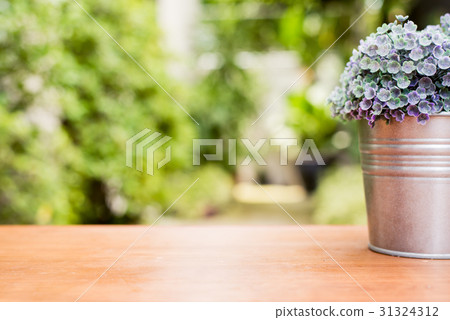 Green plant in a flower pot on a wooden desk Green plant in a flower pot on a wooden desk 31324312
