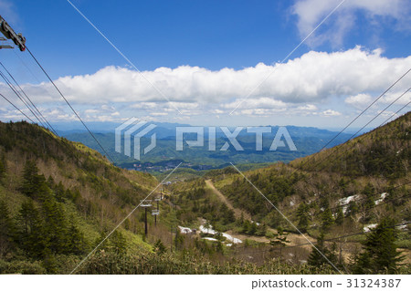 Shiraneyama fresh green 31324387