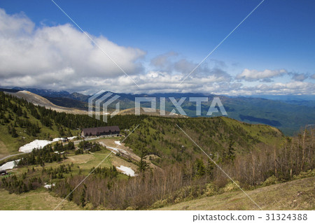 Shiraneyama fresh green 31324388