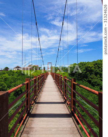 Jinjiangtai Observation Park Sky Pitto Jinjiangtai Observation Park Sky Pitto 31324626
