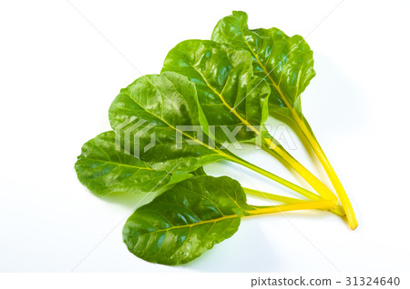 Vietra Tricholo·Giro 31324640