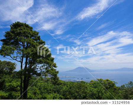 View of Sakurajima from Jinjyadai Observatory Park View of Sakurajima from Jinjyadai Observatory Park 31324956