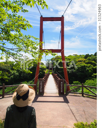 Jinjyadai Observatory Park Tsubaki Forest Bridge 31324963