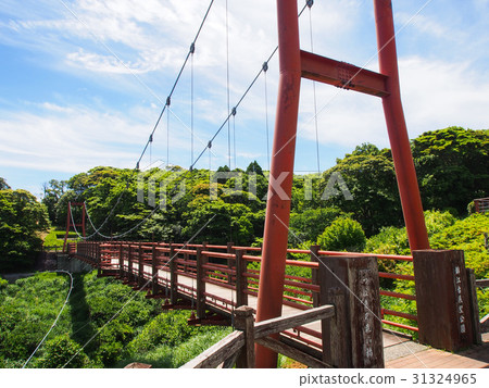 Jinjyadai天文台公園Tsubaki森林橋 31324965