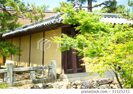 Daikaku-ji Temple Daikaku-ji Temple 31325231
