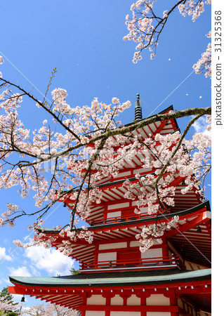 新倉山淺間公園 31325368