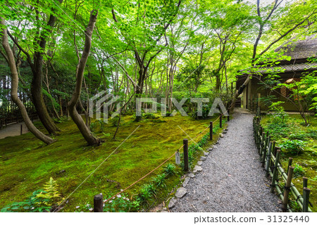 Kyoto Sagano Ginoji 31325440