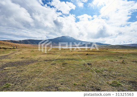 Aso秋天的Kusousenri 31325563