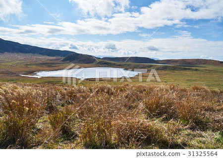 Aso秋天的Kusousenri 31325564