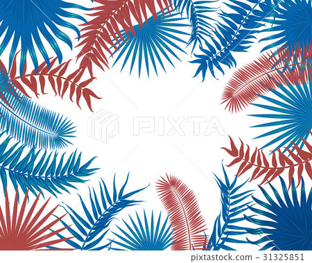 Vector tropical palm leaves, jungle leaves set 31325851