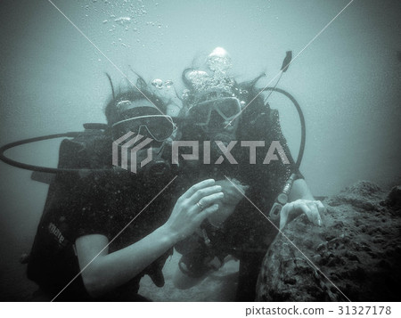 Women scuba divers exploring underwater life in 31327178