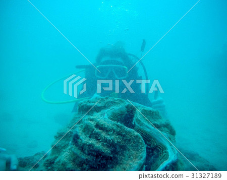 Woman scuba diver exploring underwater life in the 31327189
