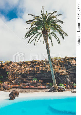 Jameos del Agua pool in volcanic cave, Lanzarote 31327378