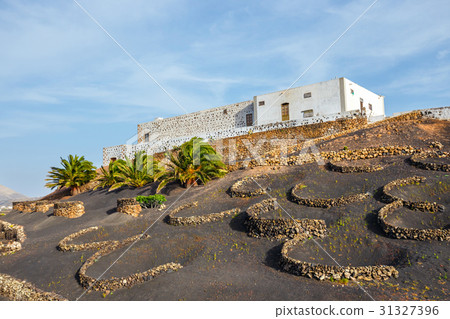 Volcanic landscape of Lanzarote, Canary, Spain 31327396