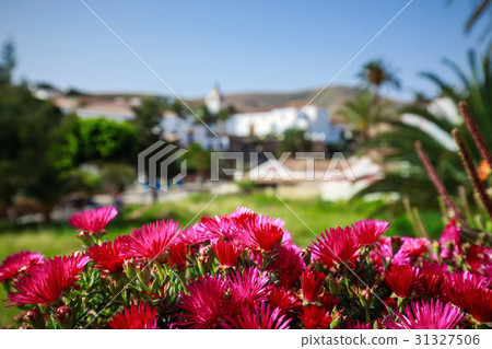 square in Betancuria village on Fuerteventura 31327506