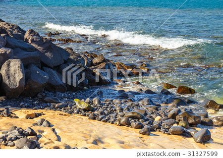 volcanic coastline with wavy ocean and blue sky 31327599