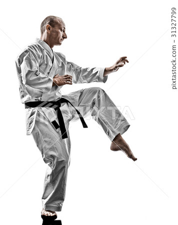 karate man training isolated karate man training isolated 31327799