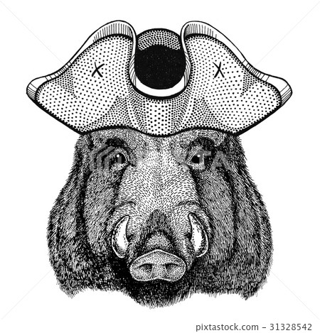 Aper, boar, hog, hog, wild boar wearing pirate hat 31328542