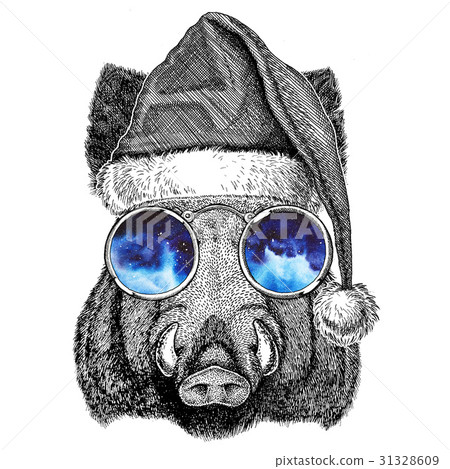 Aper, boar, hog, hog, wild boar wearing christmas 31328609