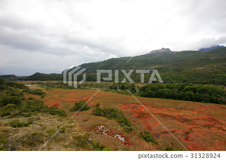 Autumn colored landscape along the road to Puerto 31328924
