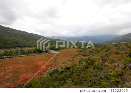 Autumn colored landscape along the road to Puerto 31328925