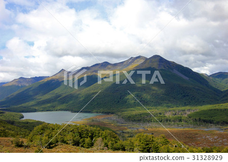 Autumn colored landscape along the road to Puerto 31328929