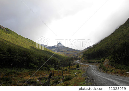 Autumn colored landscape along the road to Puerto 31328959