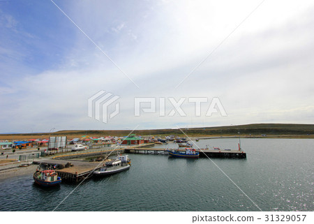 View of boats in the port of Porvenir, Tierra Del 31329057