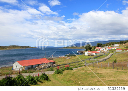 Traditional old farm, Beagle Channel, Argentina Traditional old farm, Beagle Channel, Argentina 31329239