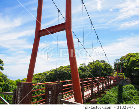 Jinjyadai Observatory Park Tsubaki Forest Bridge 31329473