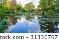 summer lake with water-lily flowers on blue water 31330707